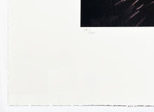 Load image into Gallery viewer, SNIK 'Finding Freedom' (Sunfire) Screen Print - Signari Gallery