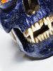 STEVEN GREGORY 'A Nod's as Good as a Wink' (2006) Fine Art Print - Signari Gallery