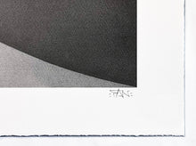 Load image into Gallery viewer, FANAKAPAN 'Five' 19-Color Screen Print - Signari Gallery