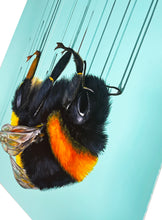 Load image into Gallery viewer, LOUISE McNAUGHT 'Falling for You' Giclée Print - Signari Gallery