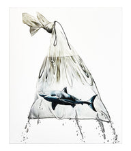 Load image into Gallery viewer, LOUISE McNAUGHT 'In the Bag' Giclée Print - Signari Gallery