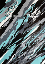 Load image into Gallery viewer, PAULO ARRAIANO 'Cold Front' Screen Print