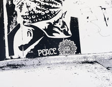 Load image into Gallery viewer, SHEPARD FAIREY x WK INTERACT 'Obey/WK: Delancy' Screen Print - Signari Gallery