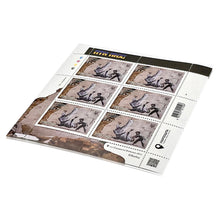 Load image into Gallery viewer, BANKSY &#39;FCK PTN&#39; (2023) Official Ukraine Stamp Set