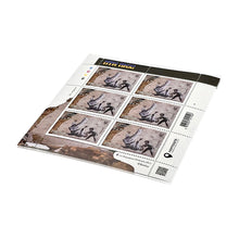 Load image into Gallery viewer, BANKSY &#39;FCK PTN&#39; (2023) Custom Framed Official Ukraine Stamps Set (AP) - Signari Gallery 