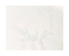 Load image into Gallery viewer, BANKSY &#39;GDP Rat&#39; (2018) Rare, Authentic Screen Print - Signari Gallery 