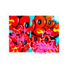 COPE2 x Signari + PMV 'Dripping Tags' (2025) Giclée Print (SHE-5/8) - Signari Gallery 