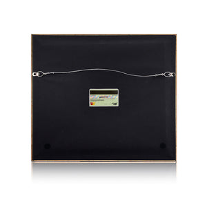 D*FACE x BANKSY 'American Depress' (2015) Custom Framed Dismaland Credit Card - Signari Gallery 