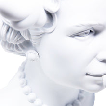 Load image into Gallery viewer, D*FACE &#39;Dog Save the Queen&#39; (2020) Rare Polystone Bust Sculpture