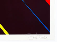 Load image into Gallery viewer, DALEK &#39;Spacemonkey (Flying High)&#39; Screen Print - Signari Gallery 