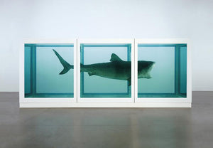 DAMIEN HIRST 'The Physical Impossibility...' (2012) Framed Rare Poster + Sketch - Signari Gallery 