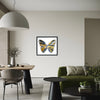 DAMIEN HIRST 'Spin Series: Butterfly' (2009) Custom Framed Original Acrylic on Paper