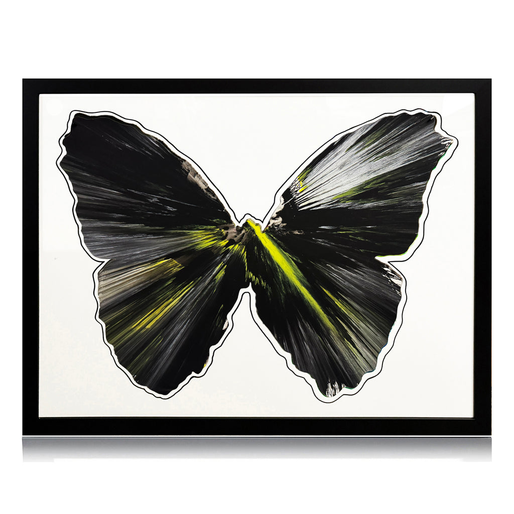 DAMIEN HIRST 'Spin Series: Butterfly' (2009) Custom Framed Original Acrylic on Paper - Signari Gallery 
