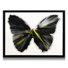 DAMIEN HIRST 'Spin Series: Butterfly' (2009) Custom Framed Original Acrylic on Paper - Signari Gallery 