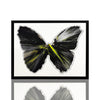 DAMIEN HIRST 'Spin Series: Butterfly' (2009) Custom Framed Original Acrylic on Paper - Signari Gallery 
