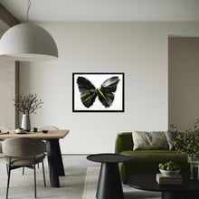 Load image into Gallery viewer, DAMIEN HIRST 'Spin Series: Butterfly' (2009) Custom Framed Original Acrylic on Paper - Signari Gallery 