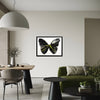 DAMIEN HIRST 'Spin Series: Butterfly' (2009) Custom Framed Original Acrylic on Paper - Signari Gallery 