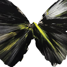 Load image into Gallery viewer, DAMIEN HIRST 'Spin Series: Butterfly' (2009) Custom Framed Original Acrylic on Paper - Signari Gallery 