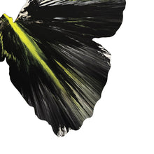 Load image into Gallery viewer, DAMIEN HIRST 'Spin Series: Butterfly' (2009) Custom Framed Original Acrylic on Paper - Signari Gallery 