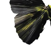 Load image into Gallery viewer, DAMIEN HIRST 'Spin Series: Butterfly' (2009) Custom Framed Original Acrylic on Paper - Signari Gallery 