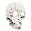 DAMIEN HIRST 'Spin Series: Skull' (2009) Custom Framed Original Acrylic on Paper - Signari Gallery 