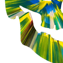 Load image into Gallery viewer, DAMIEN HIRST &#39;Spin Series: Skull&#39; (2009) Custom Framed Original Acrylic on Paper