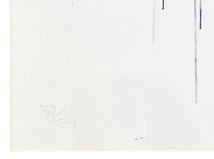 DAVE WHITE 'Great White I' (2013) Custom Framed Giclée + Silkscreen Print - Signari Gallery 