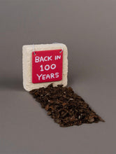 Load image into Gallery viewer, DAVID SHRIGLEY &#39;Back in 100 Years&#39; (2019) Collectible Air Freshener - Signari Gallery 