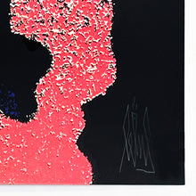 Load image into Gallery viewer, EELUS &#39;Conjuring&#39; (2014) RARE Silkscreen Print - Signari Gallery 