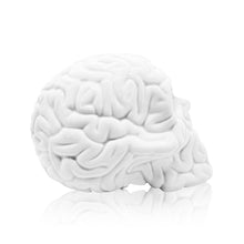 Load image into Gallery viewer, EMILIO GARCIA &#39;Skull Brain&#39; (2013) Porcelain Designer Art Figure