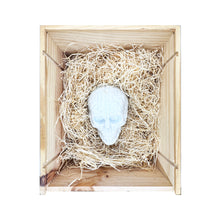 Load image into Gallery viewer, EMILIO GARCIA &#39;Skull Brain&#39; (2013) Porcelain Designer Art Figure