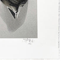 Load image into Gallery viewer, FANAKAPAN &#39;High&#39; (2018) Rare 19-Color Screen Print*