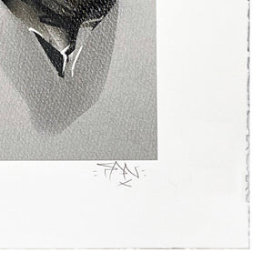 FANAKAPAN 'High' (2018) Rare 19-Color Screen Print*