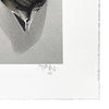 FANAKAPAN 'High' (2018) Rare 19-Color Screen Print*