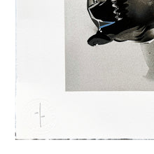 Load image into Gallery viewer, FANAKAPAN &#39;High&#39; (2018) Rare 19-Color Screen Print*