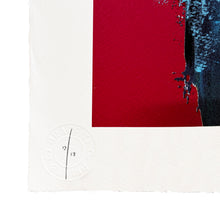 Load image into Gallery viewer, FIN DAC 'Mossiae' (2022) Artist's Private Collection 24-Color Screen Print - Signari Gallery 