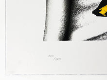 Load image into Gallery viewer, FIN DAC &#39;Velveteen (Peel)&#39; Screen Print - Signari Gallery 