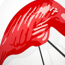 Load image into Gallery viewer, FNNCH 'Flamingo' (2024) Archival Pigment Print - Signari Gallery 