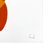 FNNCH 'Nutcracker Bear' (2022) Archival Pigment Print - Signari Gallery 