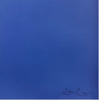 Load image into Gallery viewer, GUCCIGHOST 'Up in the Air' (2019) Rare Screen Print - Signari Gallery 