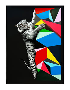 HAMA WOODS 'Climb to Safety' (black) 24-Color Screen Print - Signari Gallery 