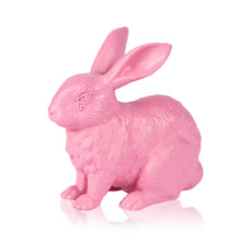 Load image into Gallery viewer, IMBUE &#39;Rabbit Set&#39; (pink) Painted Cast Resin Figure Set - Signari Gallery 