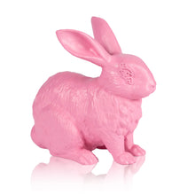 Load image into Gallery viewer, IMBUE &#39;Rabbit Set&#39; (pink) Painted Cast Resin Figure Set - Signari Gallery 