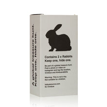 Load image into Gallery viewer, IMBUE &#39;Rabbit Set&#39; (pink) Painted Cast Resin Figure Set - Signari Gallery 