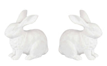 Load image into Gallery viewer, IMBUE &#39;Rabbit Set&#39; (white) Painted Cast Resin Figure Set - Signari Gallery 