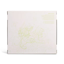 Load image into Gallery viewer, JAMES JEAN x Mattel Creations 'Floral He-Man and Battle Cat' (2026) Designer Vinyl Art Figure Set