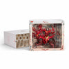 JAMES JEAN x Mattel Creations 'Coral Skeletor and Panthor' (2026) Designer Vinyl Art Figure Set