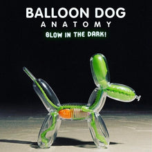Load image into Gallery viewer, JASON FREENY 'Balloon Dog Anatomy' (2019) Glow-in-the-Dark Designer Art Figure