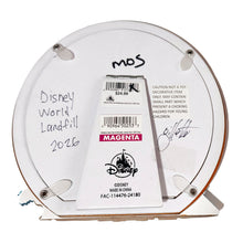 Load image into Gallery viewer, JEFF GILLETTE 'Disney World Landfill' (2026) Hand-Drawn Original in Disney Frame