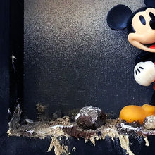Load image into Gallery viewer, JEFF GILLETTE 'Mickey in Disneylandfill' (2026) Mixed Media + Figurine in Shadowbox Frame